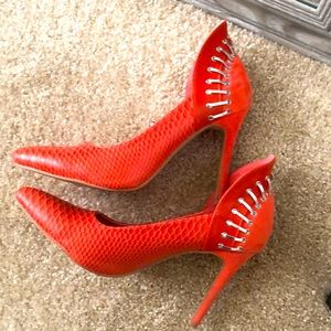 Scene -Snakeskin like shoes